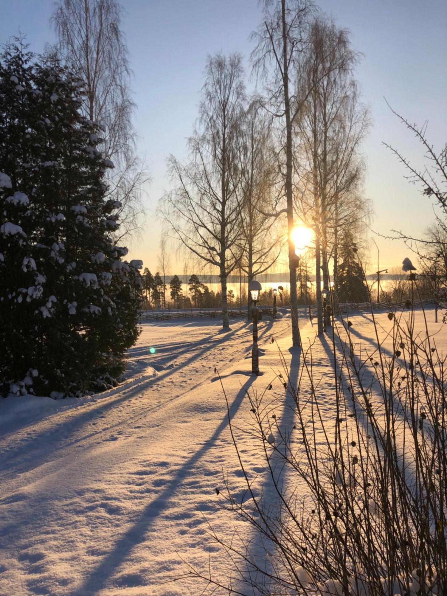 Mysigt Boende I Raettvik Med Utsikt Oever Siljan Zewnętrze zdjęcie